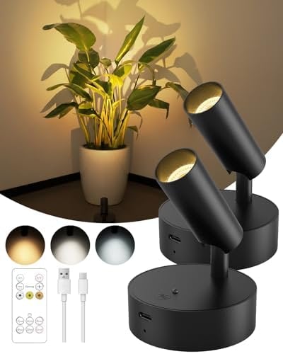 Two black rechargeable wireless LED spotlights with remote, USB cables, color modes, and a plant lit by warm accent lighting.