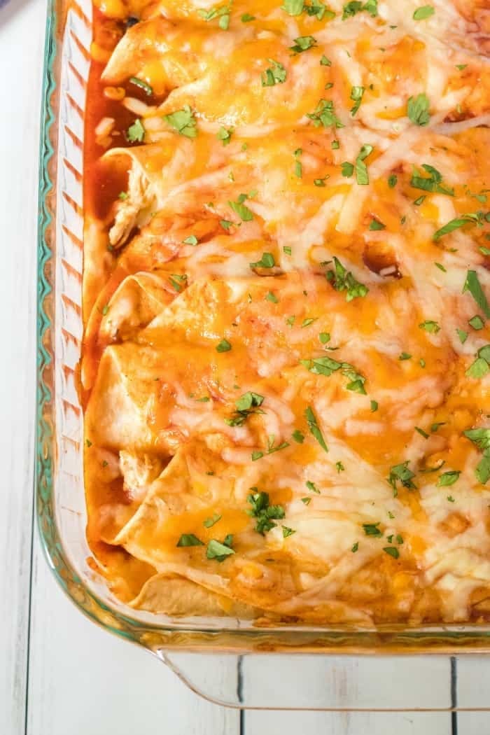 Cheesy chicken enchiladas baked in a glass casserole dish with red sauce, melted cheese, and fresh cilantro garnish.