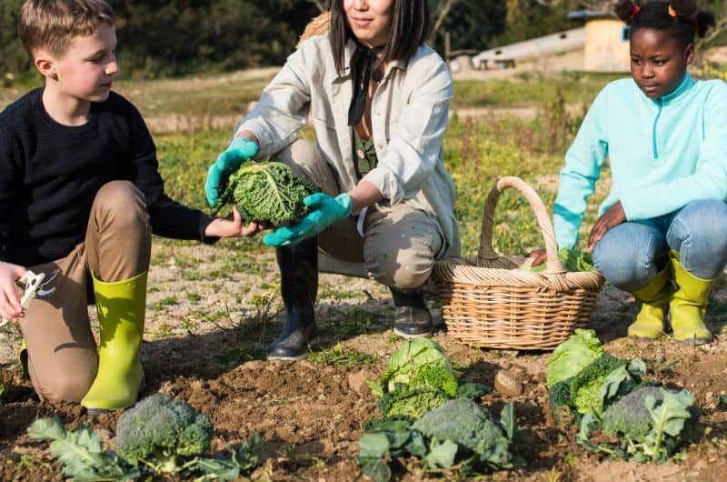 Two children and an adult kneel in a garden while holding leafy green vegetables near a basket.