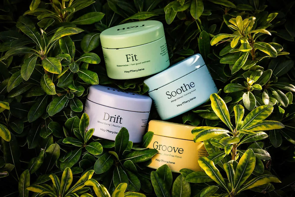 Pastel Hey Mary Jane tins labeled Fit, Drift, Soothe, and Groove tucked among glossy green leaves.