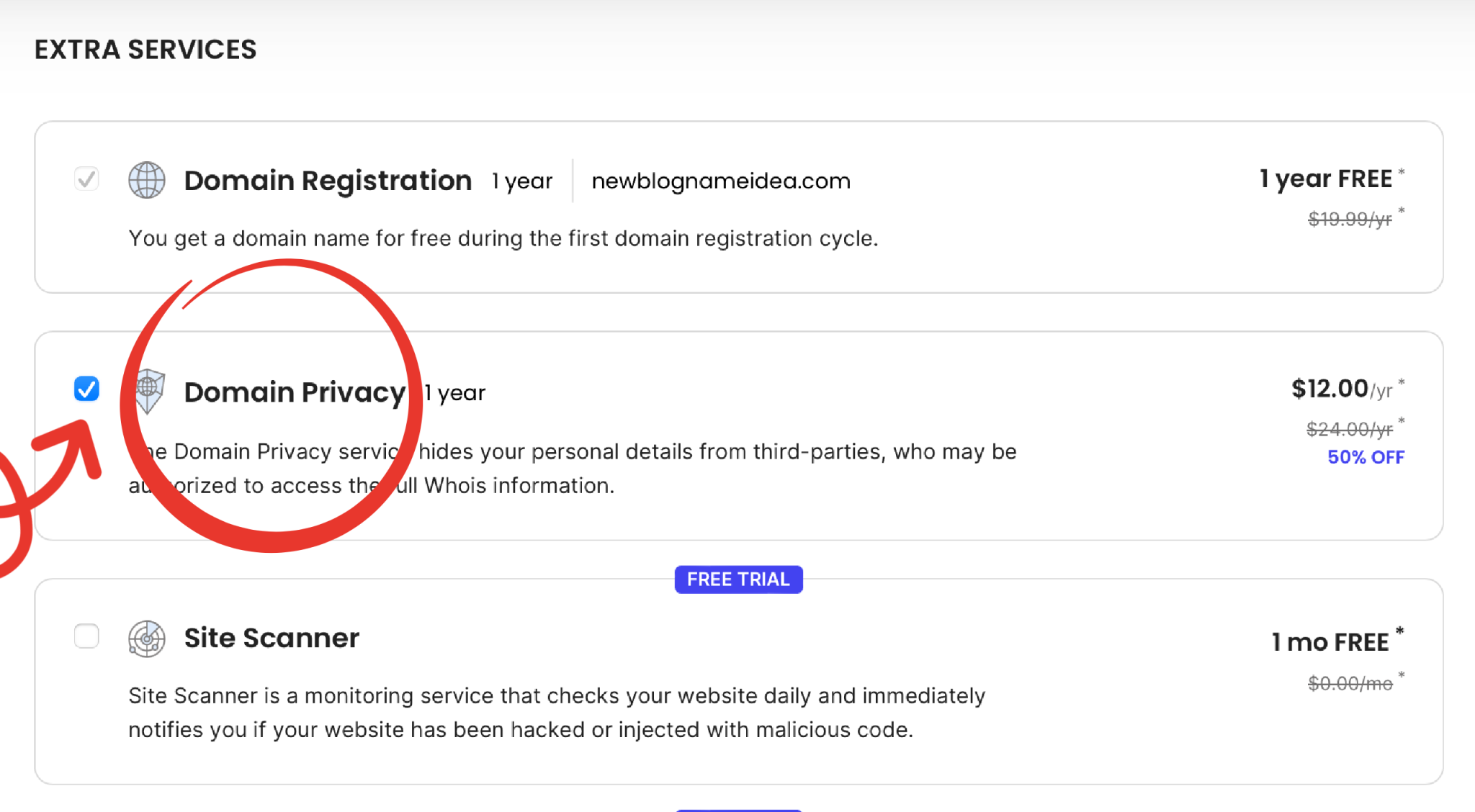 Checkout extra services screen with Domain Privacy selected and circled in red.