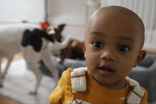 Baby in yellow shirt close to the camera, with a blurred dog in the background.